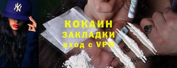 стаф Алексин