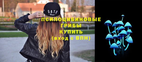 прущие крисы Алексеевка