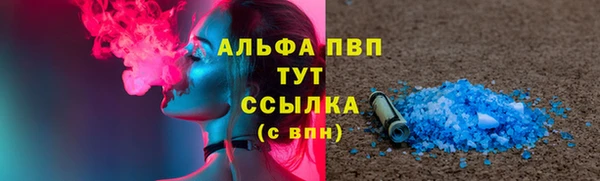 прущие грибы Ельня