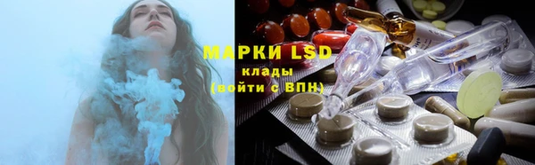 стаф Алексин