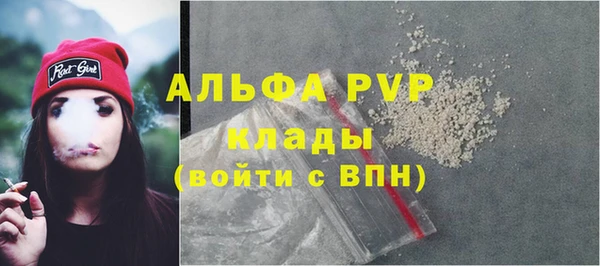 стаф Алексин