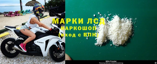 стаф Алексин