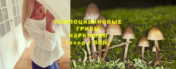 прущие крисы Алексеевка
