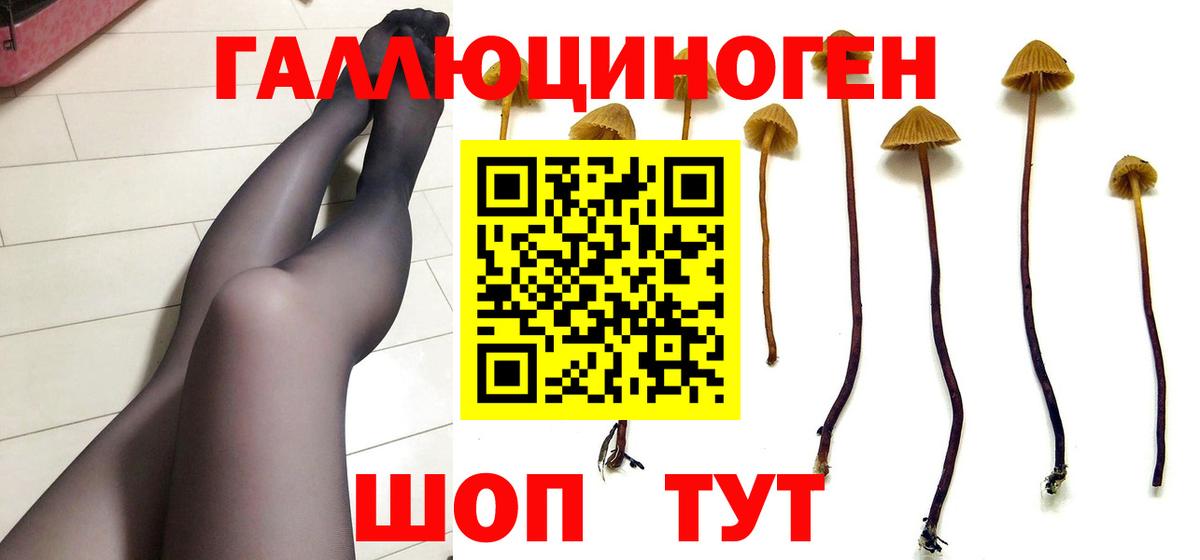 Псилоцибиновые грибы Psilocybe  Псилоцибиновые грибы мицелий  наркотики  Невинномысск  Вход с VPN 
