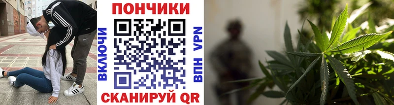 Конопля Amnesia  Невинномысск 